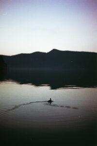 Film2