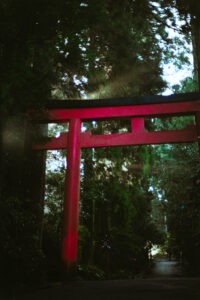 Film01